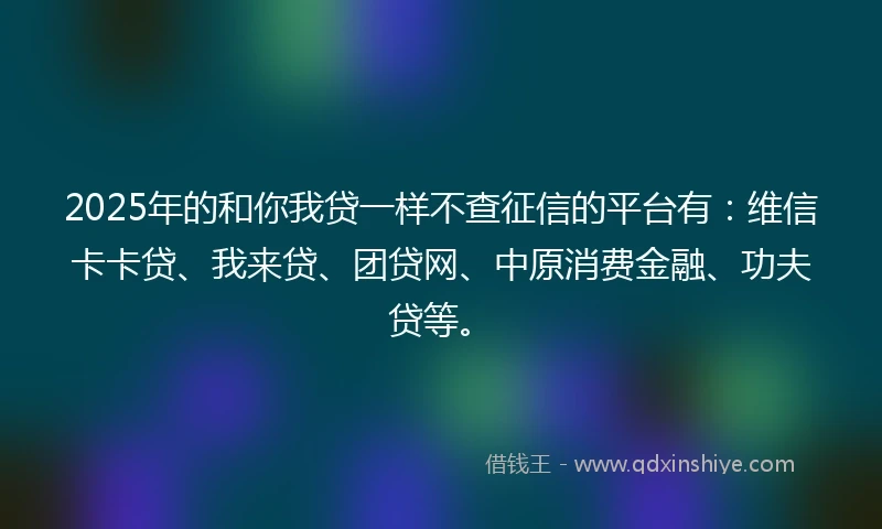 2025年的和你我贷一样不查征信的平台有：维信卡卡贷、我来贷、团贷网、中原消费金融、功夫贷等。