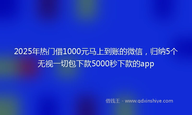 2025年热门借1000元马上到账的微信，归纳5个无视一切包下款5000秒下款的app