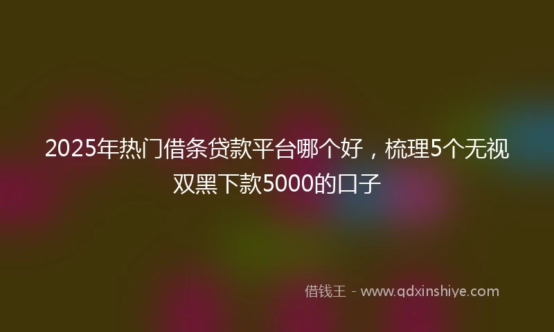 2025年热门借条贷款平台哪个好，梳理5个无视双黑下款5000的口子
