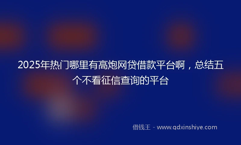 2025年热门哪里有高炮网贷借款平台啊，总结五个不看征信查询的平台