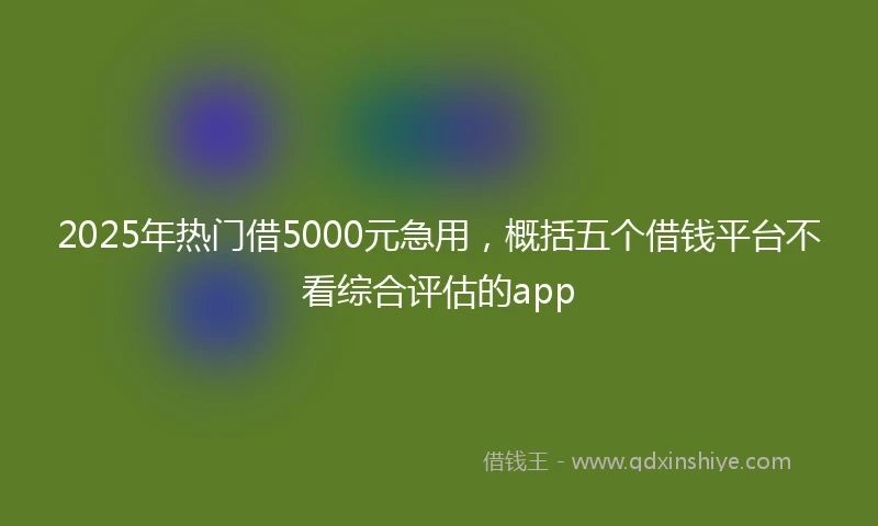 2025年热门借5000元急用,概括五个借钱平台不看综合评估的app