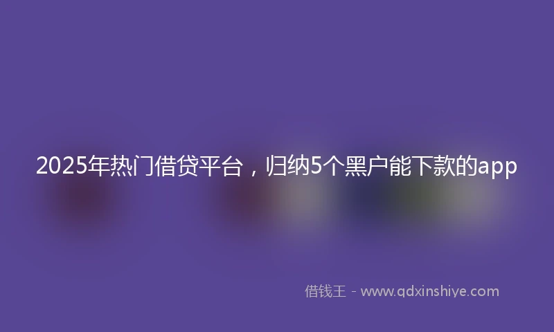 2025年热门借贷平台,归纳5个黑户能下款的app