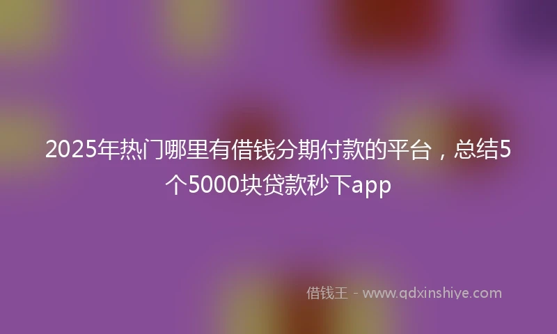 2025年热门哪里有借钱分期付款的平台，总结5个5000块贷款秒下app