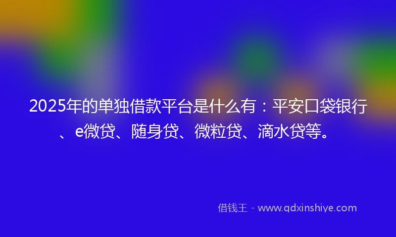 2025年的单独借款平台是什么有：平安口袋银行、e微贷、随身贷、微粒贷、滴水贷等。