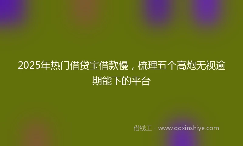 2025年热门借贷宝借款慢，梳理五个高炮无视逾期能下的平台
