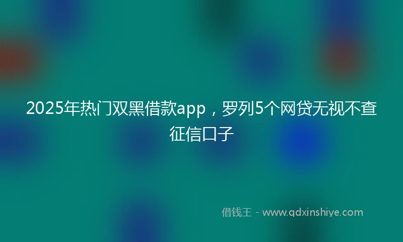 2025年热门双黑借款app，罗列5个网贷无视不查征信口子
