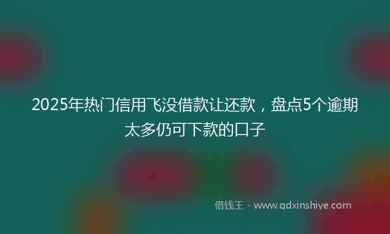 2025年热门信用飞没借款让还款，盘点5个逾期太多仍可下款的口子