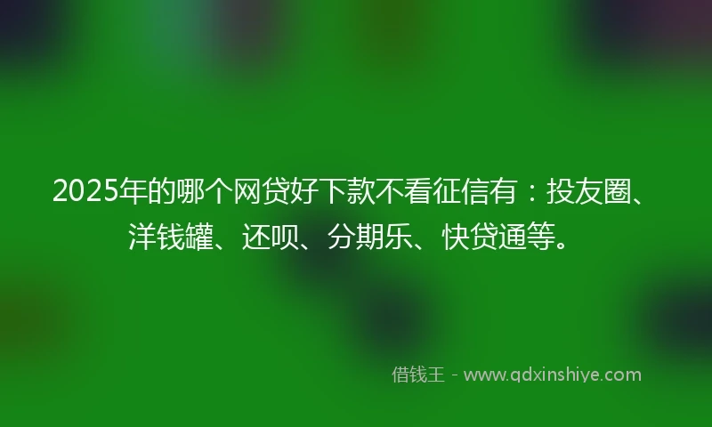 2025年的哪个网贷好下款不看征信有：投友圈、洋钱罐、还呗、分期乐、快贷通等。
