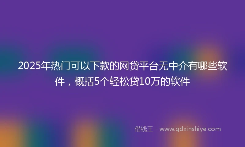 2025年热门可以下款的网贷平台无中介有哪些软件，概括5个轻松贷10万的软件