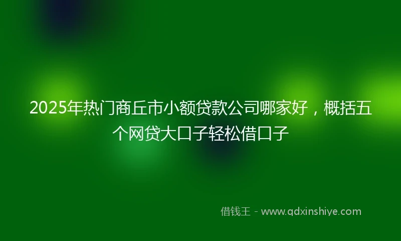 2025年热门商丘市小额贷款公司哪家好，概括五个网贷大口子轻松借口子
