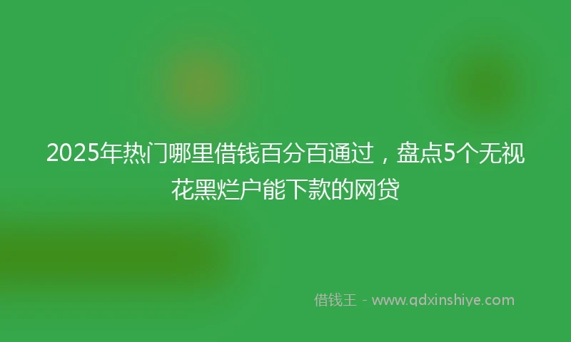 2025年热门哪里借钱百分百通过，盘点5个无视花黑烂户能下款的网贷
