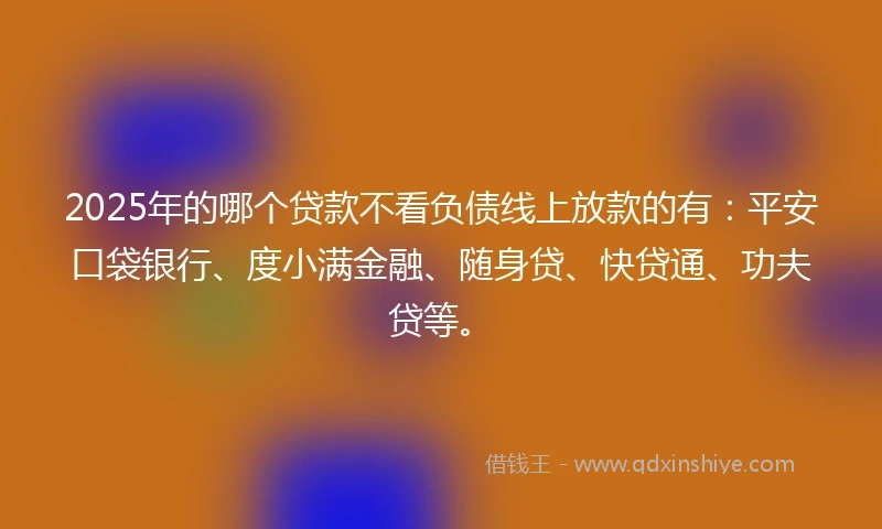 2025年的哪个贷款不看负债线上放款的有：平安口袋银行、度小满金融、随身贷、快贷通、功夫贷等。