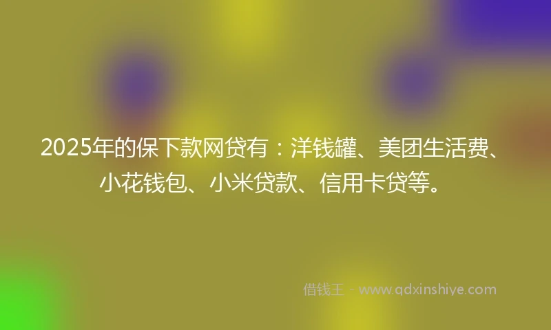 2025年的保下款网贷有：洋钱罐、美团生活费、小花钱包、小米贷款、信用卡贷等。
