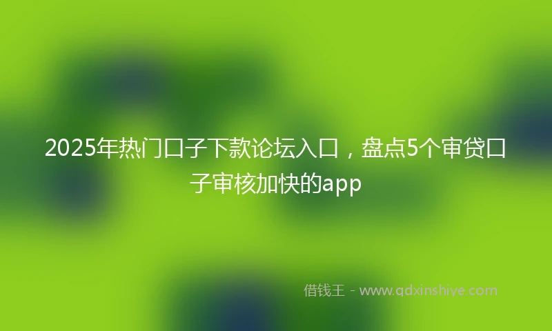 2025年热门口子下款论坛入口，盘点5个审贷口子审核加快的app