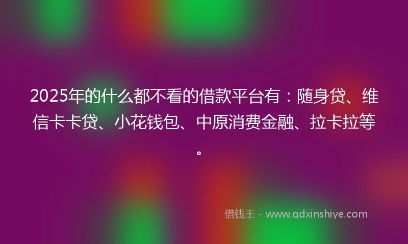 2025年的什么都不看的借款平台有：随身贷、维信卡卡贷、小花钱包、中原消费金融、拉卡拉等。