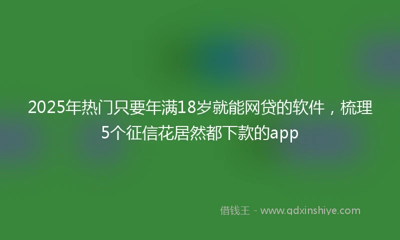 2025年热门只要年满18岁就能网贷的软件，梳理5个征信花居然都下款的app