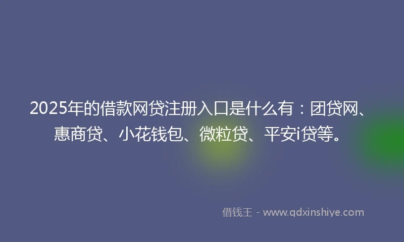 2025年的借款网贷注册入口是什么有：团贷网、惠商贷、小花钱包、微粒贷、平安i贷等。