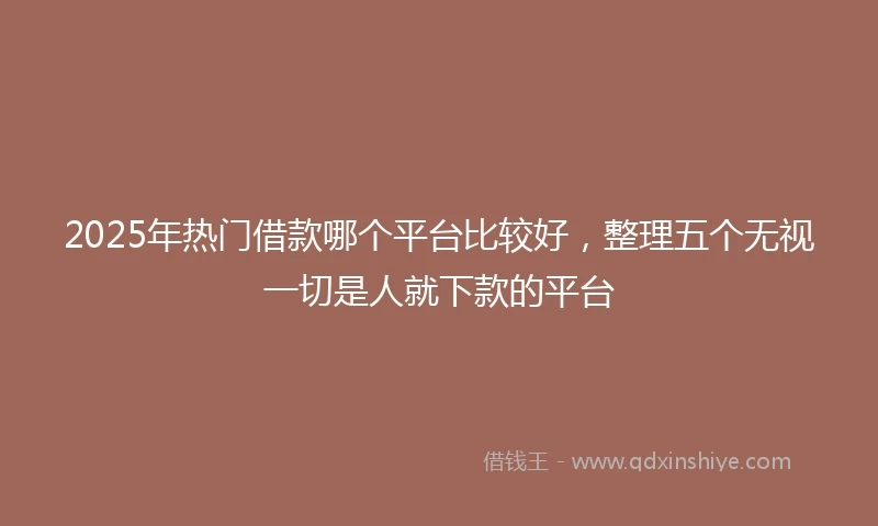 2025年热门借款哪个平台比较好，整理五个无视一切是人就下款的平台