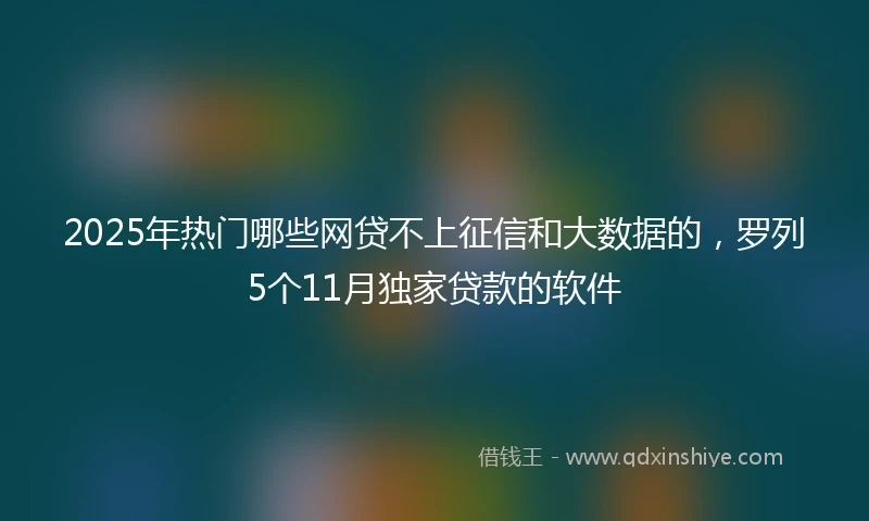 2025年热门哪些网贷不上征信和大数据的，罗列5个11月独家贷款的软件