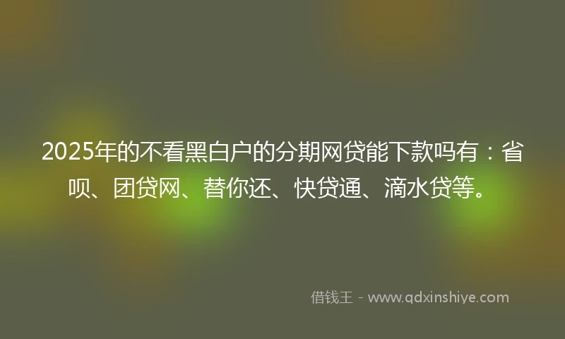 2025年的不看黑白户的分期网贷能下款吗有：省呗、团贷网、替你还、快贷通、滴水贷等。