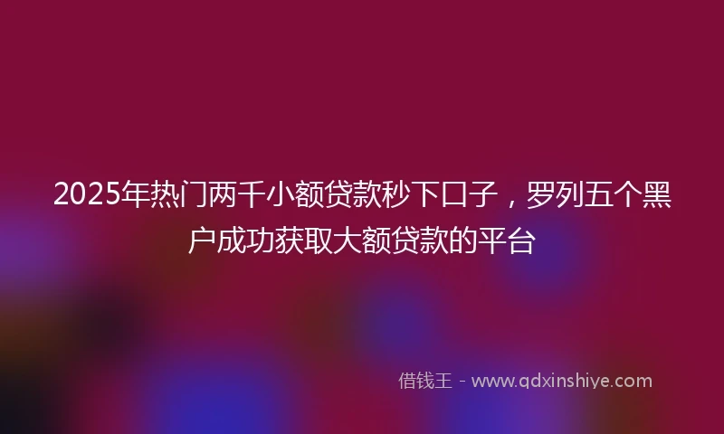 2025年热门两千小额贷款秒下口子，罗列五个黑户成功获取大额贷款的平台