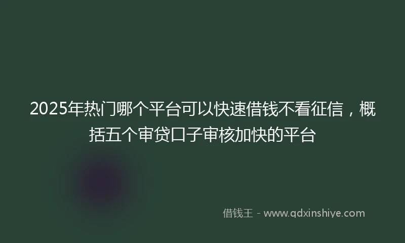 2025年热门哪个平台可以快速借钱不看征信，概括五个审贷口子审核加快的平台