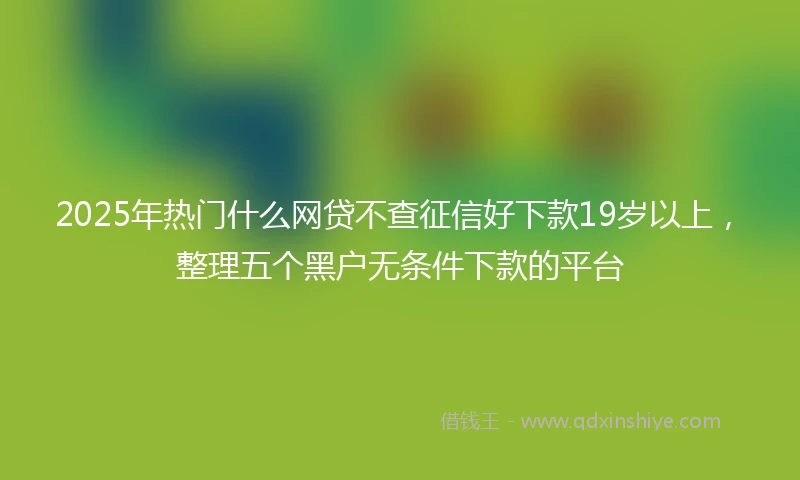 2025年热门什么网贷不查征信好下款19岁以上，整理五个黑户无条件下款的平台