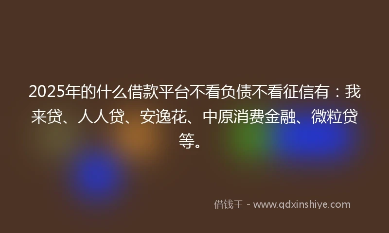 2025年的什么借款平台不看负债不看征信有：我来贷、人人贷、安逸花、中原消费金融、微粒贷等。