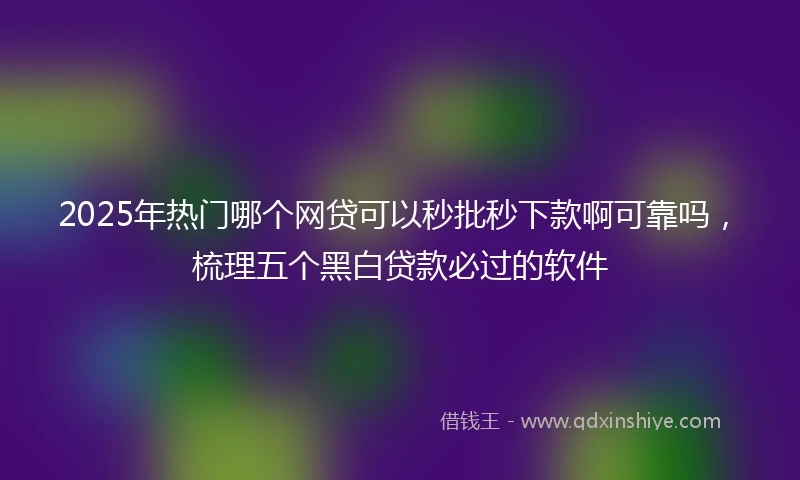 2025年热门哪个网贷可以秒批秒下款啊可靠吗，梳理五个黑白贷款必过的软件