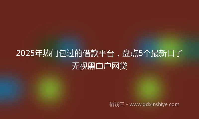 2025年热门包过的借款平台，盘点5个最新口子无视黑白户网贷