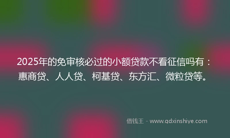 2025年的免审核必过的小额贷款不看征信吗有：惠商贷、人人贷、柯基贷、东方汇、微粒贷等。