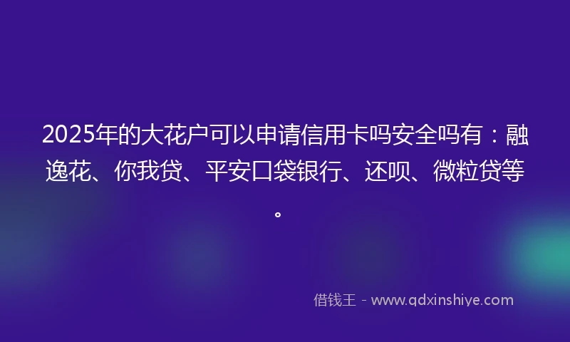 2025年的大花户可以申请信用卡吗安全吗有：融逸花、你我贷、平安口袋银行、还呗、微粒贷等。