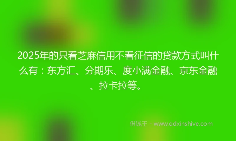 2025年的只看芝麻信用不看征信的贷款方式叫什么有：东方汇、分期乐、度小满金融、京东金融、拉卡拉等。