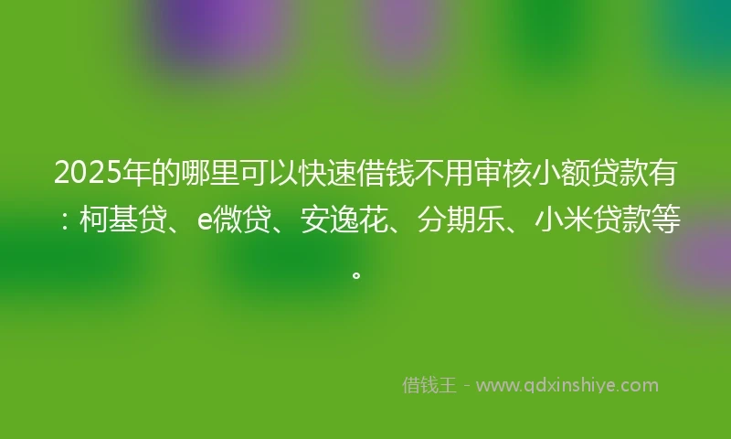 2025年的哪里可以快速借钱不用审核小额贷款有：柯基贷、e微贷、安逸花、分期乐、小米贷款等。