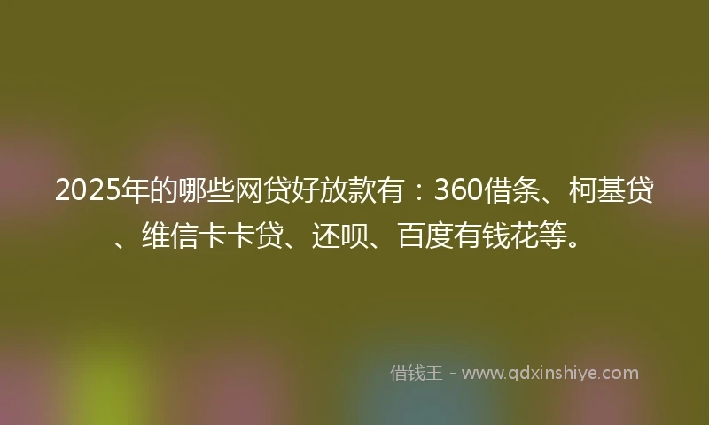 2025年的哪些网贷好放款有：360借条、柯基贷、维信卡卡贷、还呗、百度有钱花等。
