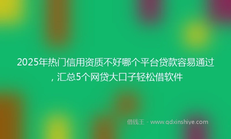 2025年热门信用资质不好哪个平台贷款容易通过，汇总5个网贷大口子轻松借软件