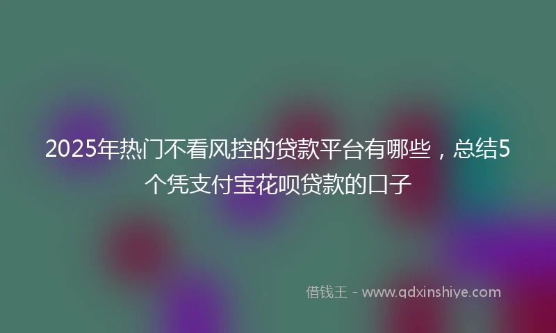 2025年热门不看风控的贷款平台有哪些，总结5个凭支付宝花呗贷款的口子