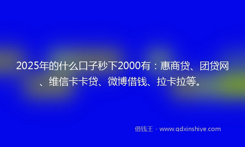 2025年的什么口子秒下2000有：惠商贷、团贷网、维信卡卡贷、微博借钱、拉卡拉等。