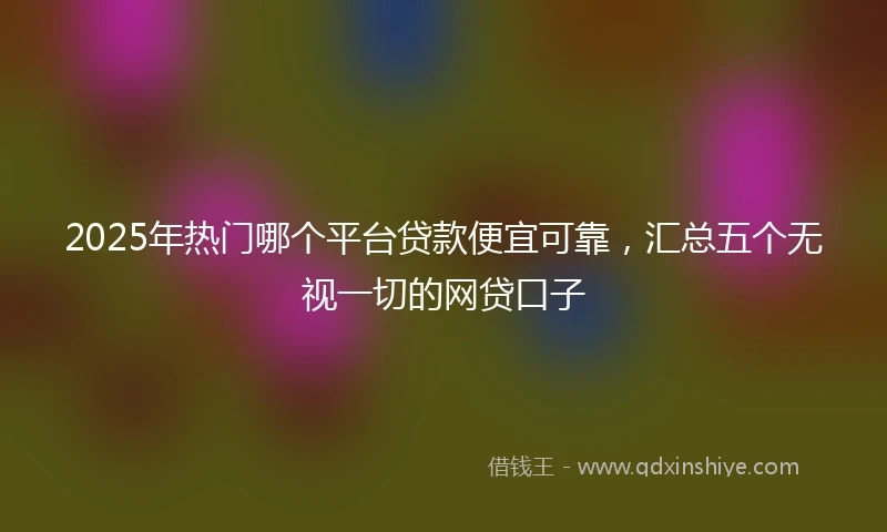 2025年热门哪个平台贷款便宜可靠，汇总五个无视一切的网贷口子