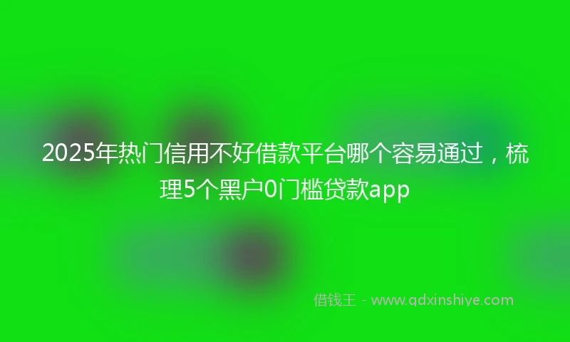 2025年热门信用不好借款平台哪个容易通过，梳理5个黑户0门槛贷款app