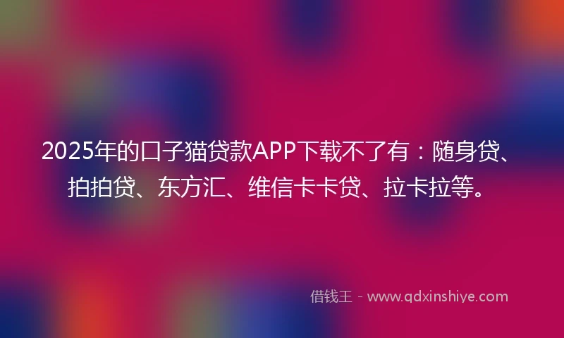 2025年的口子猫贷款APP下载不了有：随身贷、拍拍贷、东方汇、维信卡卡贷、拉卡拉等。