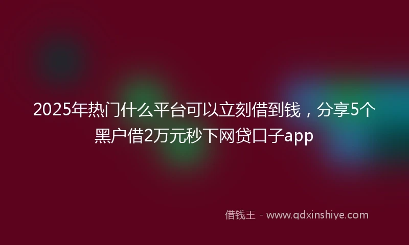 2025年热门什么平台可以立刻借到钱，分享5个黑户借2万元秒下网贷口子app