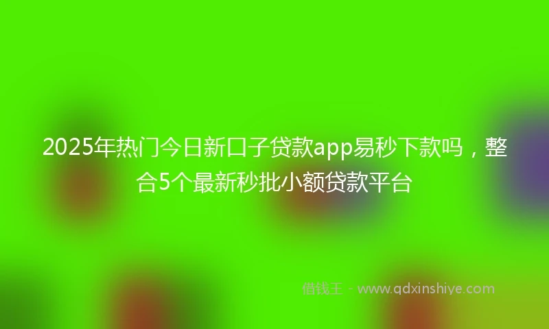 2025年热门今日新口子贷款app易秒下款吗，整合5个最新秒批小额贷款平台