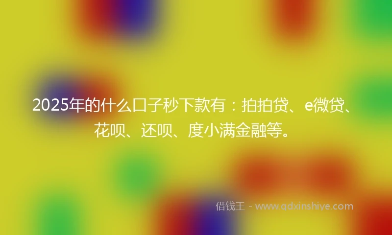 2025年的什么口子秒下款有：拍拍贷、e微贷、花呗、还呗、度小满金融等。