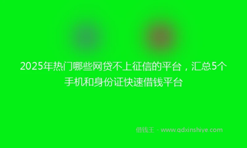 2025年热门哪些网贷不上征信的平台，汇总5个手机和身份证快速借钱平台