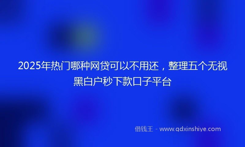 2025年热门哪种网贷可以不用还，整理五个无视黑白户秒下款口子平台
