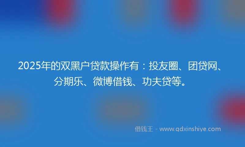 2025年的双黑户贷款操作有：投友圈、团贷网、分期乐、微博借钱、功夫贷等。