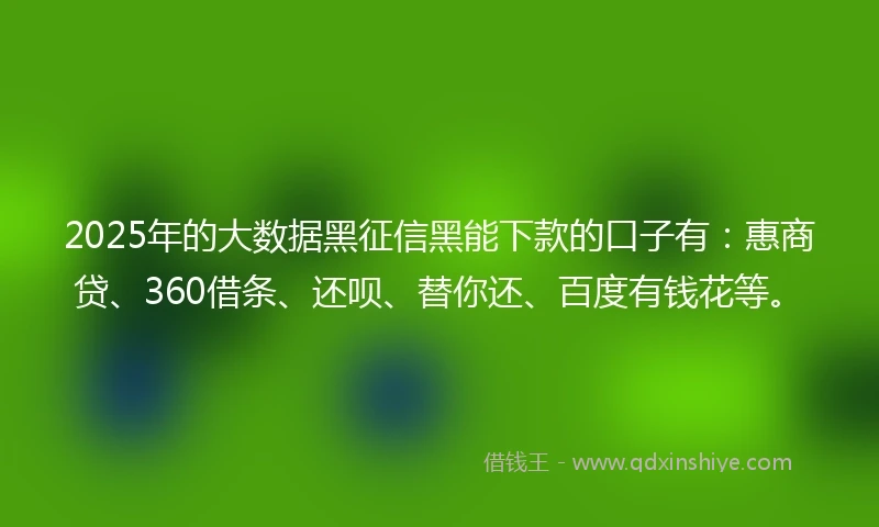 2025年的大数据黑征信黑能下款的口子有：惠商贷、360借条、还呗、替你还、百度有钱花等。