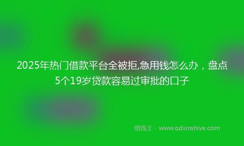 2025年热门借款平台全被拒,急用钱怎么办,盘点5个19岁贷款容易过审批的口子
