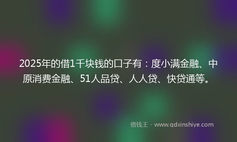 2025年的借1千块钱的口子有：度小满金融、中原消费金融、51人品贷、人人贷、快贷通等。